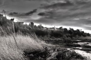 Tain Shore_HDR2 Tain shore - winter photography